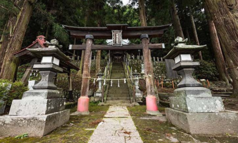 Take a look at the "smallest shrine in Japan"